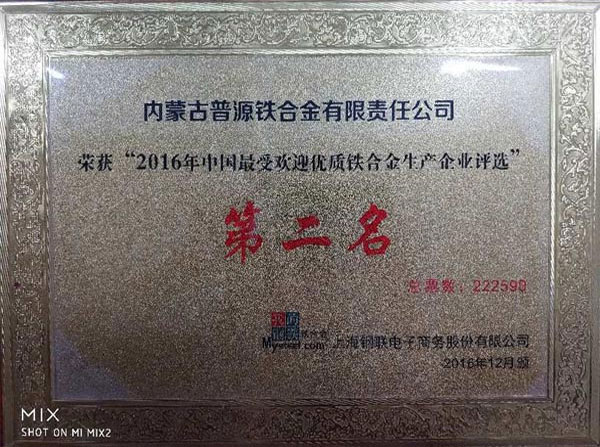 荣获-2016年中国最受欢迎优质铁合金生产企业评选 第二名