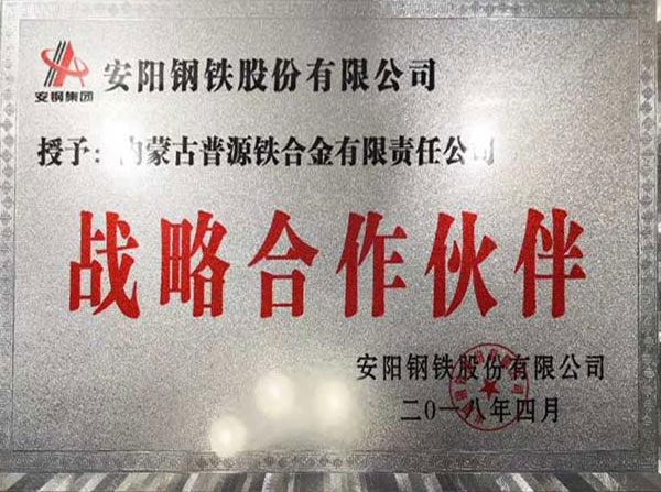 战略合作伙伴